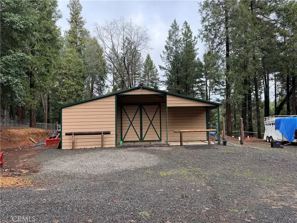 a view of a flower in a yard