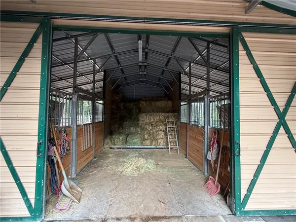 a bunch of flowers are in a garden