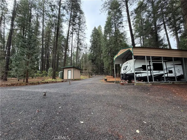 a view of a patio with table and chairs potted plants and a large tree
