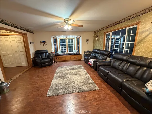 a view of a garden with a bench and trees