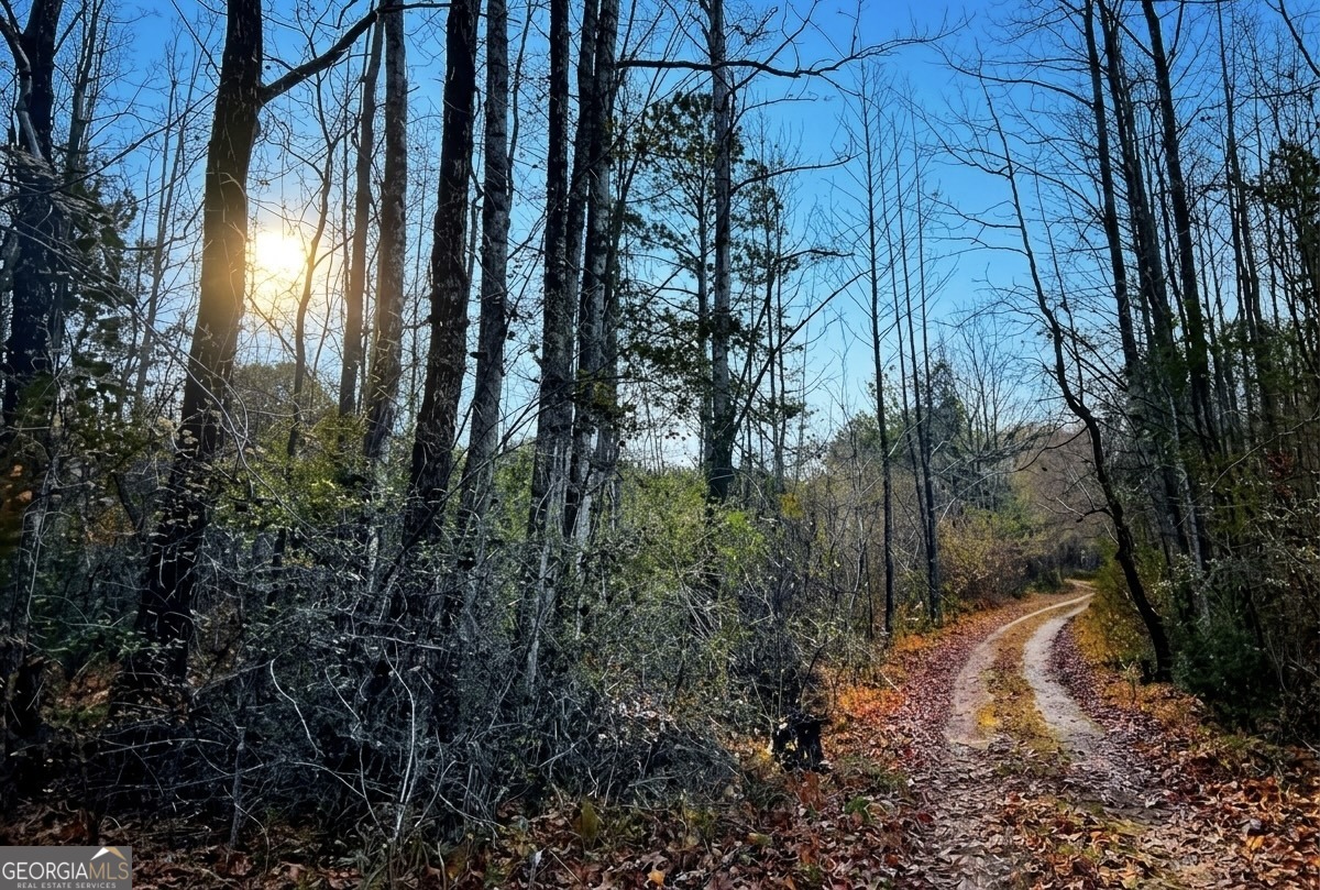 0 Hopeful Road, Unit LOT 2 Munford, AL 36268 - Photo 7 of 12
