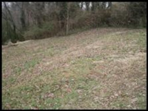 Delaware Avenue Oak Ridge, TN 37830 - Photo 1 of 1 Primary Photo