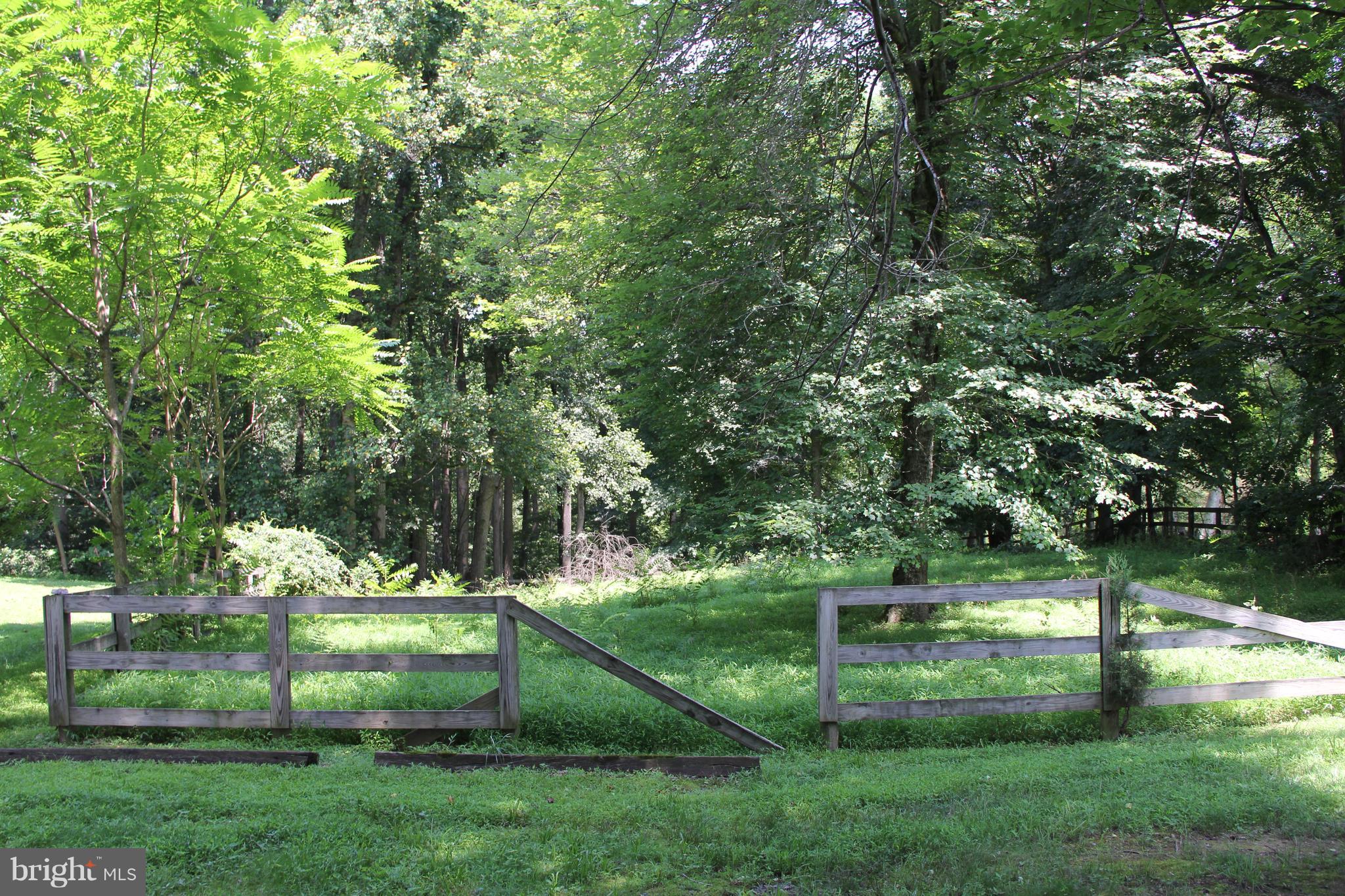 641 Mine Ridge Road Great Falls, VA 22066 - Photo 9 of 22 Exterior (General)