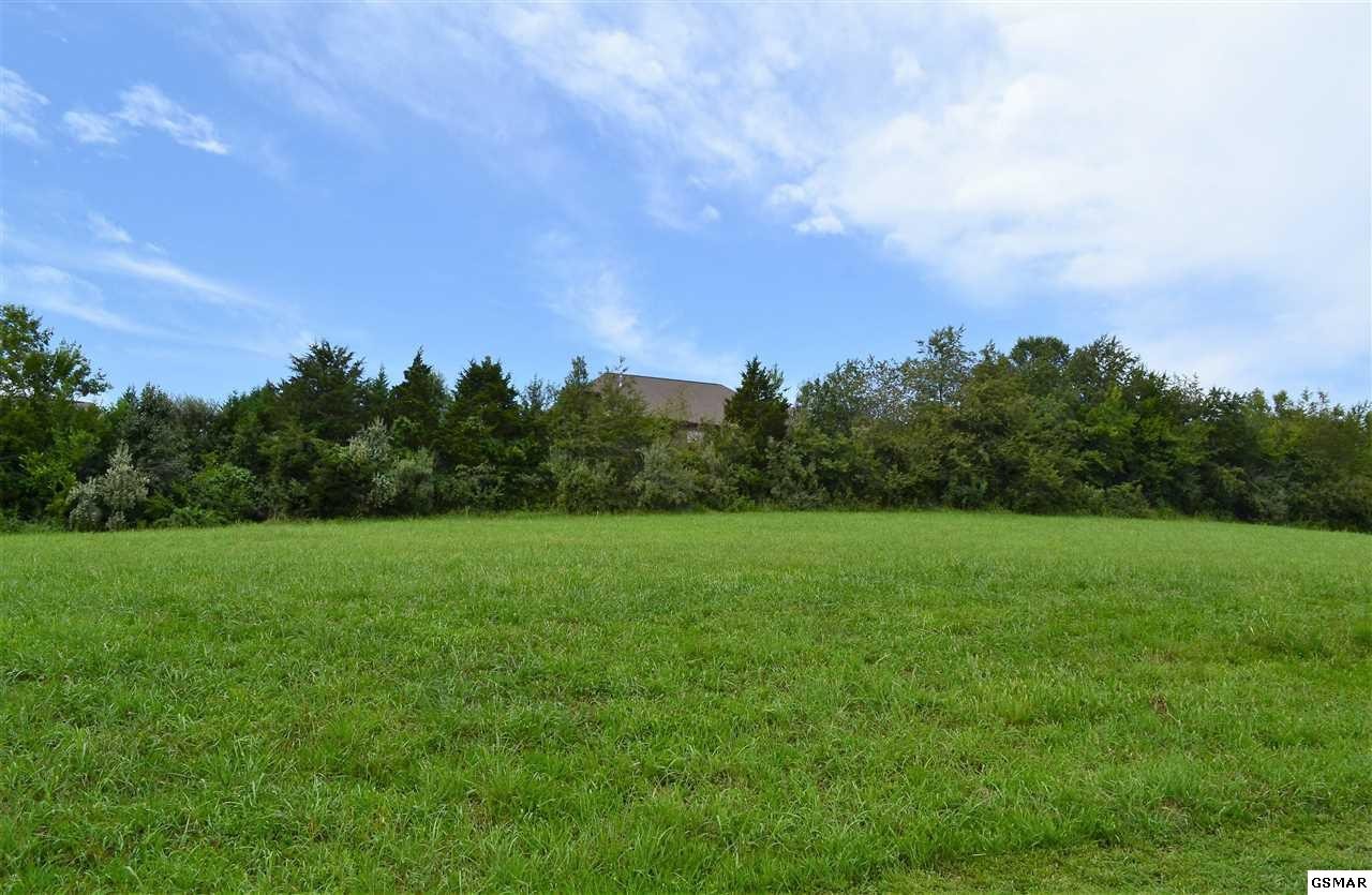 18 Rippling Waters Circle Sevierville, TN 37876 - Photo 2 of 11 Gallery Image 2