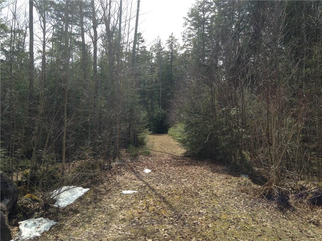 700 Madagascal Pond Road Burlington, ME 04417 - Photo 11 of 33 Road
