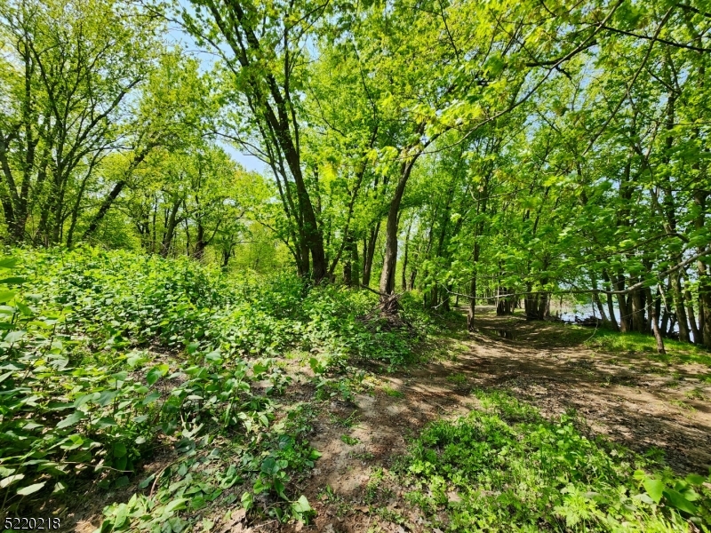 74 River Road Montague, NJ 07827 - Photo 18 of 41