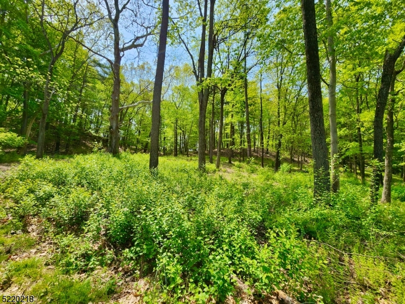 74 River Road Montague, NJ 07827 - Photo 26 of 41