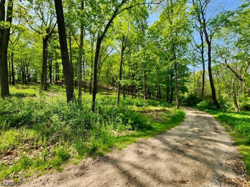 74 River Road Montague, NJ 07827 - Photo 27 of 41