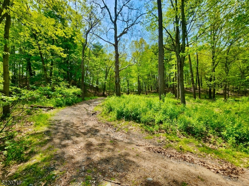 74 River Road Montague, NJ 07827 - Photo 30 of 41