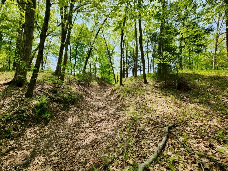 74 River Road Montague, NJ 07827 - Photo 33 of 41