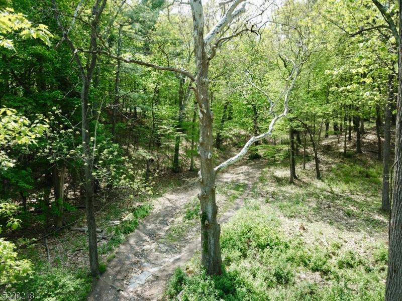 74 River Road Montague, NJ 07827 - Photo 35 of 41