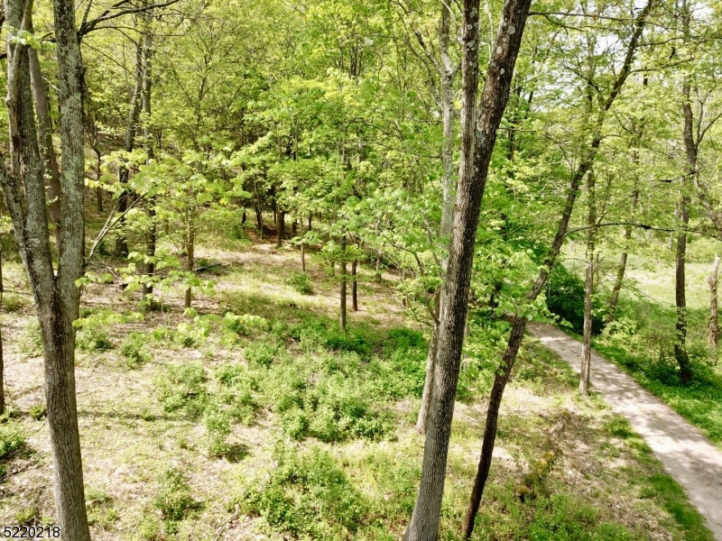 74 River Road Montague, NJ 07827 - Photo 37 of 41