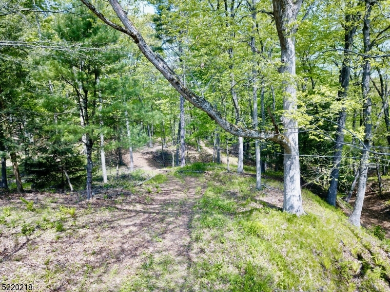 74 River Road Montague, NJ 07827 - Photo 39 of 41