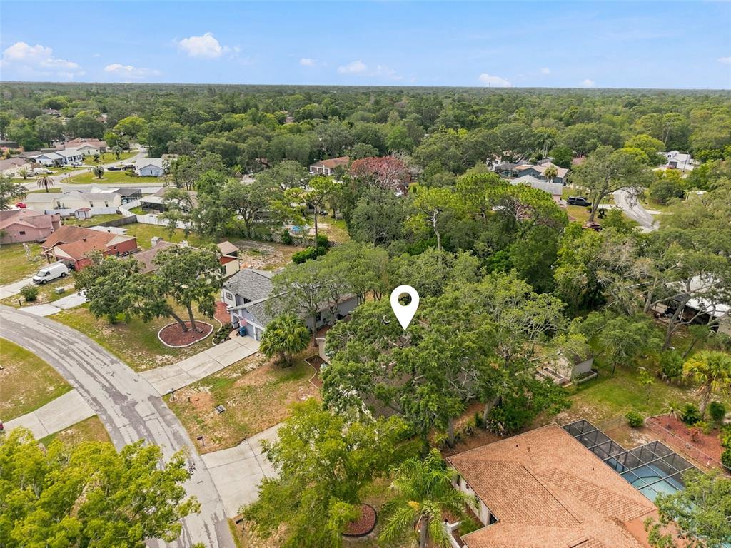 7407 Philatelic Drive Spring Hill, FL 34606 - Photo 37 of 43