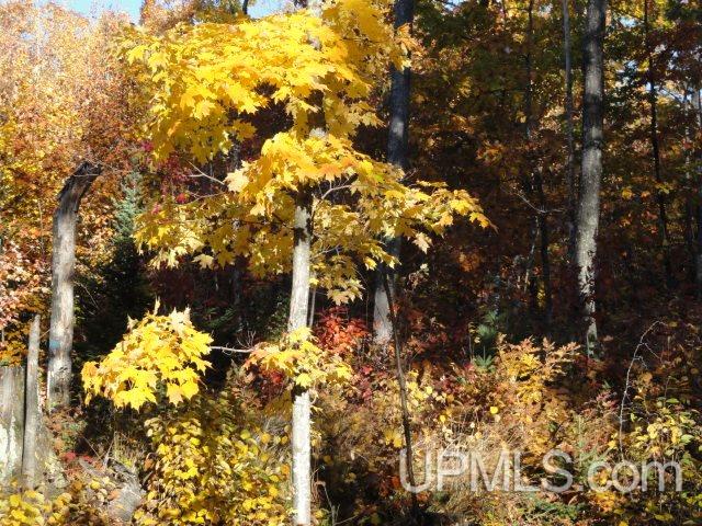 Tbd Tbd Off Townline Road Lanse, MI 49946 - Photo 17 of 18
