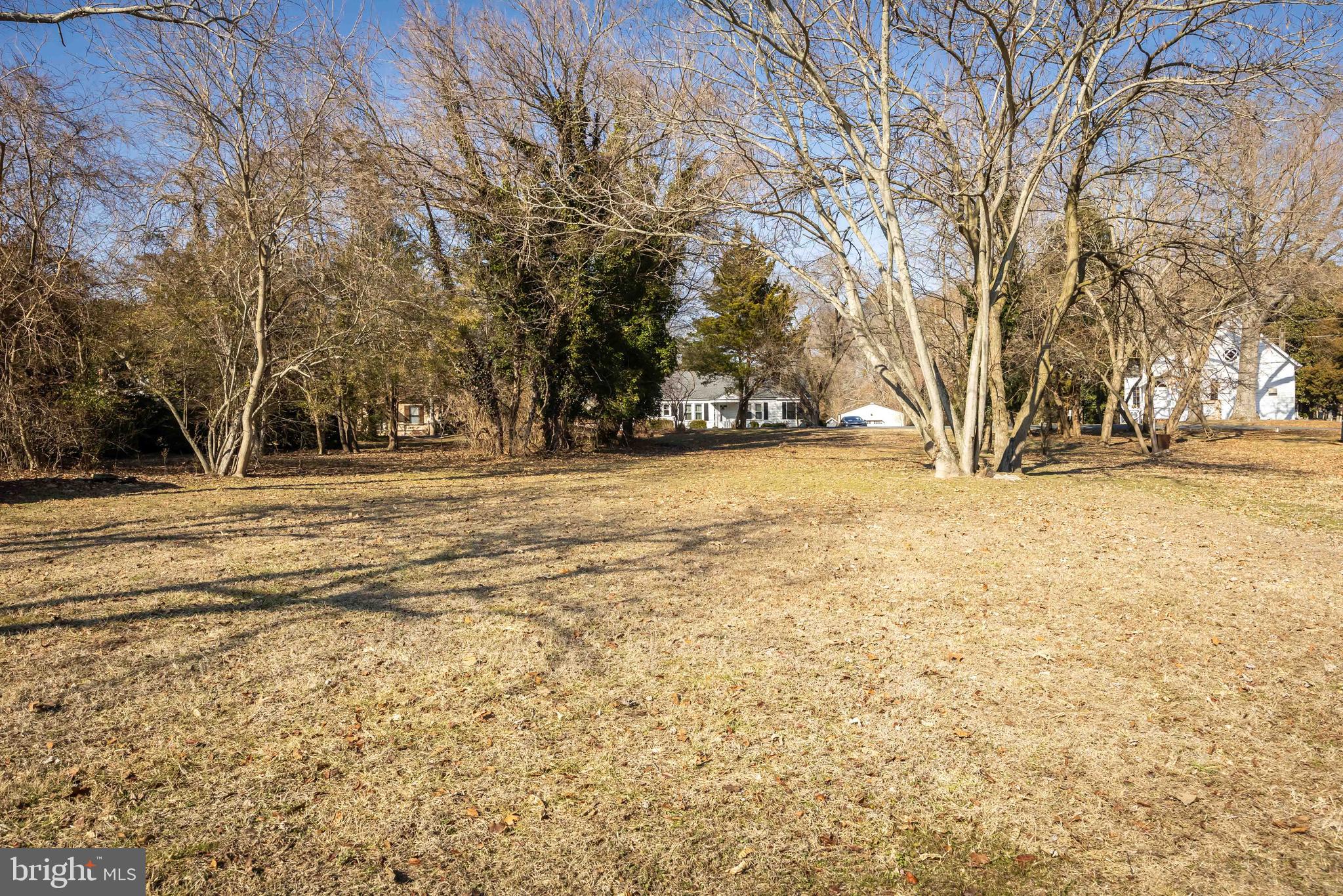 4569 Tyaskin Road Tyaskin, MD 21865 - Photo 61 of 98 Backyard