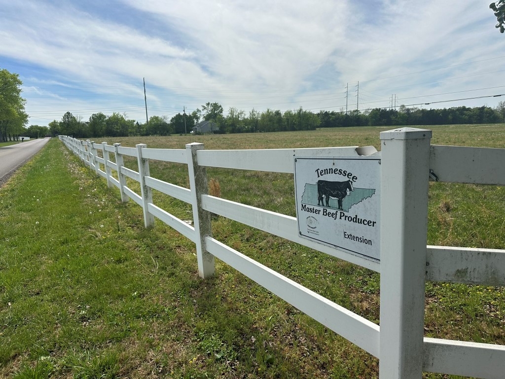 6254 Wayside Road Christiana, TN 37037 - Photo 15 of 43