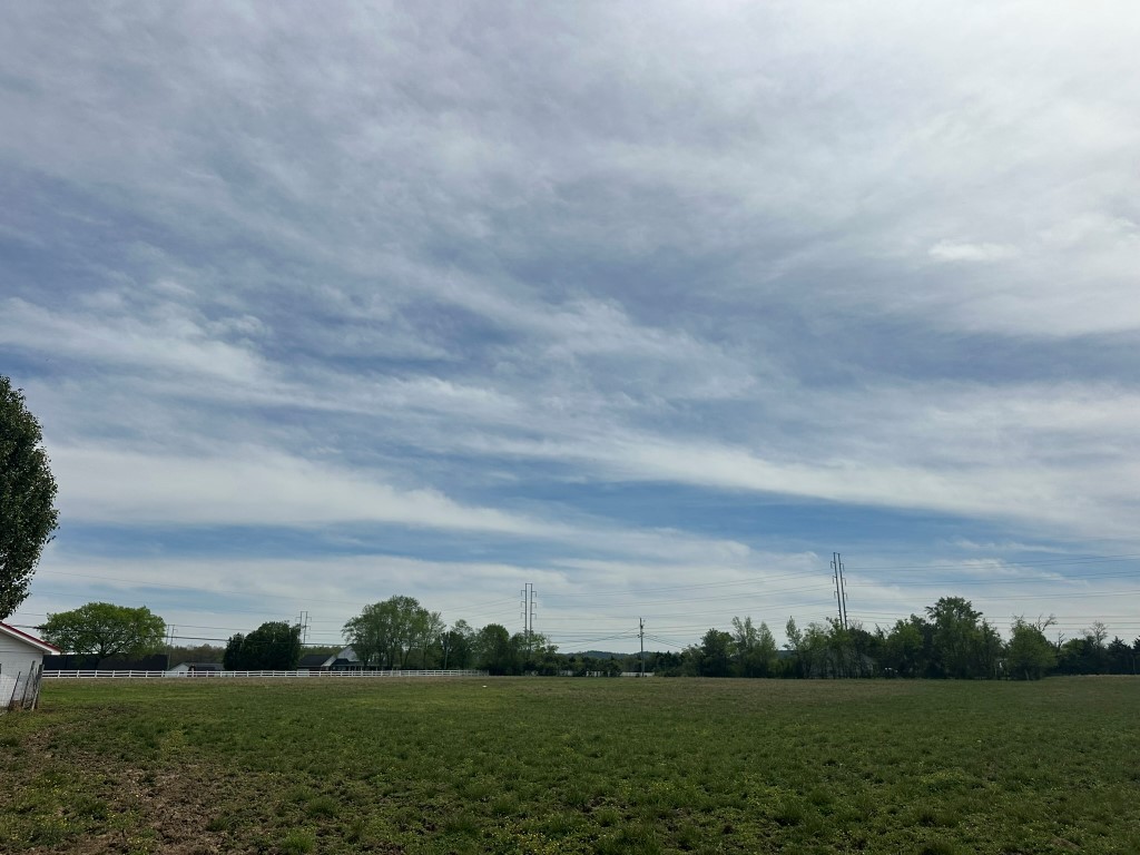 6254 Wayside Road Christiana, TN 37037 - Photo 16 of 43