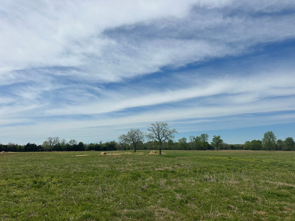 6254 Wayside Road Christiana, TN 37037 - Photo 17 of 43