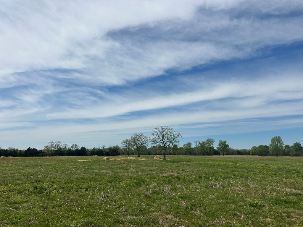 6254 Wayside Road Christiana, TN 37037 - Photo 18 of 43