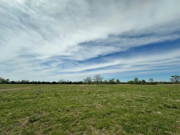 a view of a grassy field with an trees