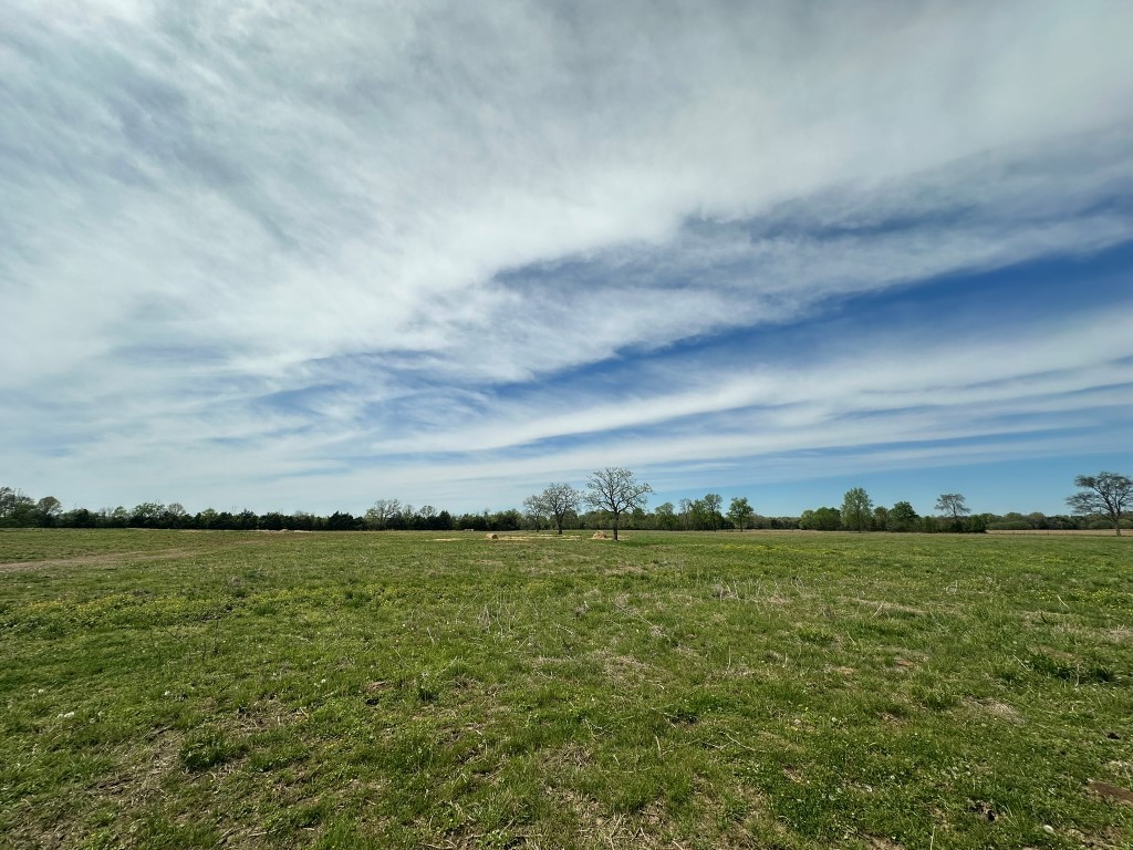 6254 Wayside Road Christiana, TN 37037 - Photo 19 of 43