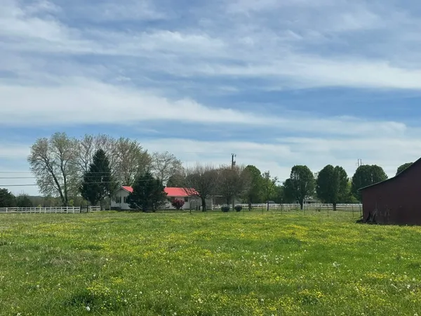 a view of a park with a slide
