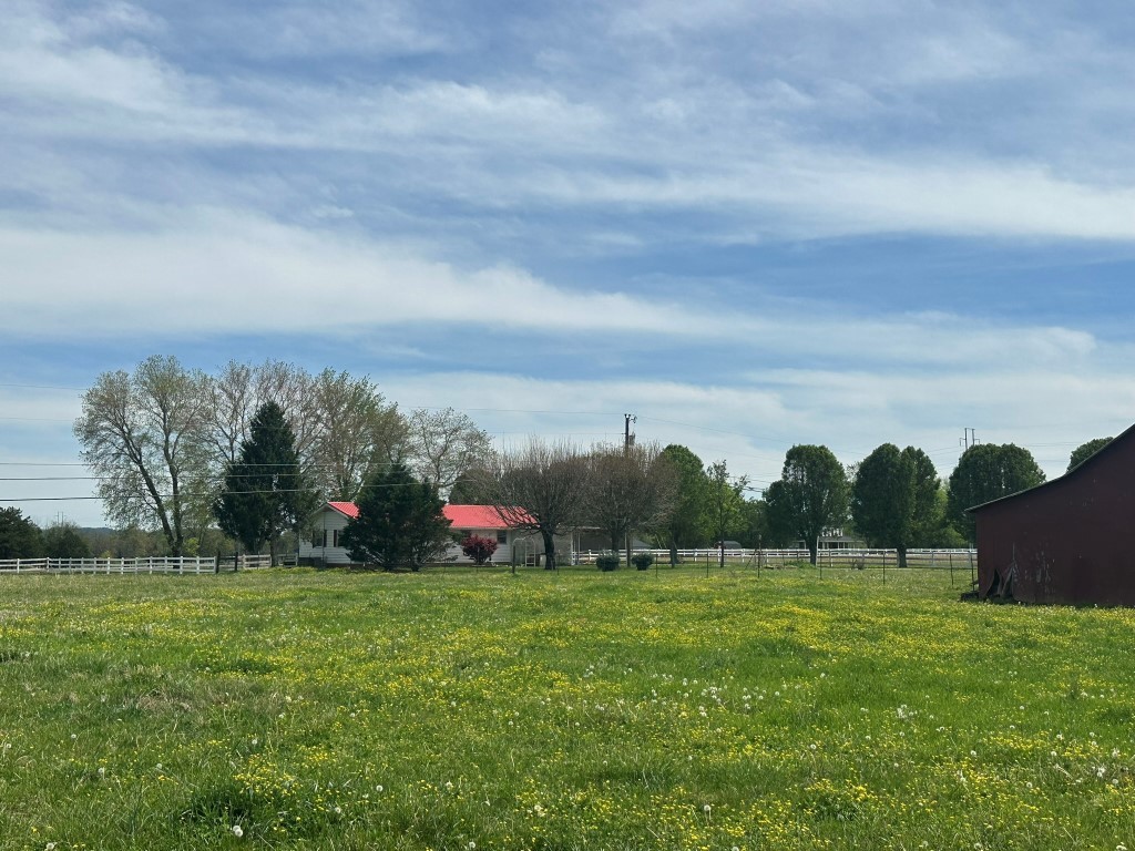 6254 Wayside Road Christiana, TN 37037 - Photo 21 of 43