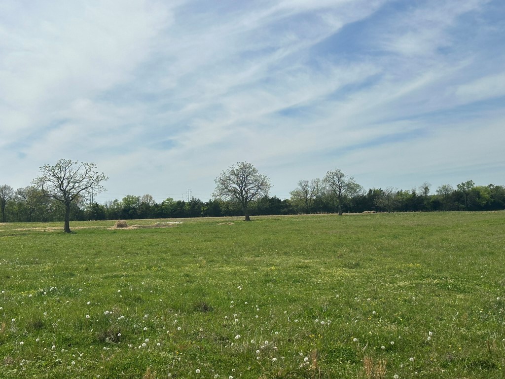 6254 Wayside Road Christiana, TN 37037 - Photo 23 of 43