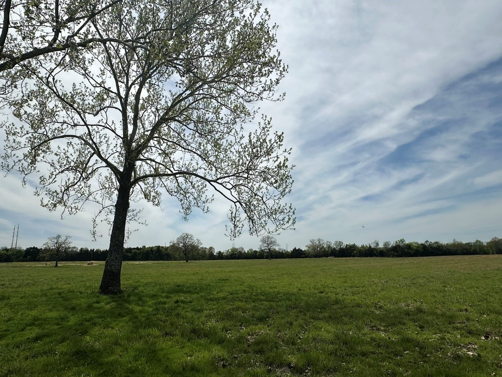 6254 Wayside Road Christiana, TN 37037 - Photo 24 of 43