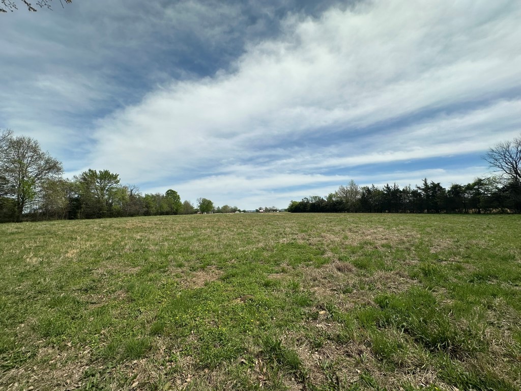 6254 Wayside Road Christiana, TN 37037 - Photo 28 of 43