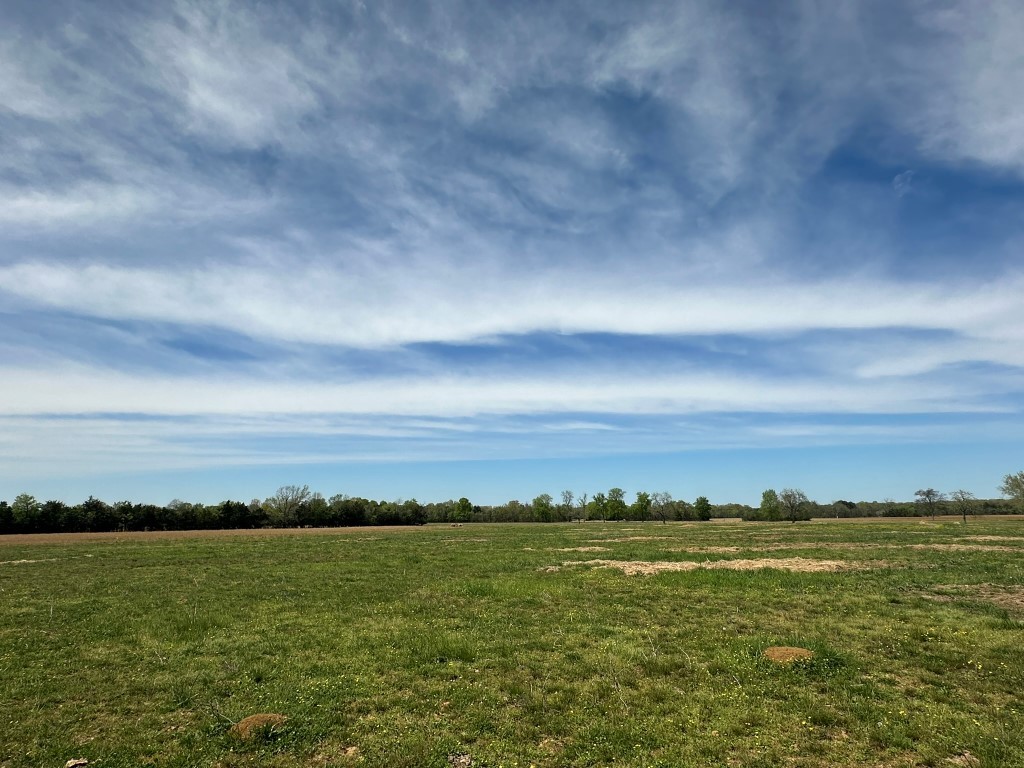 6254 Wayside Road Christiana, TN 37037 - Photo 29 of 43