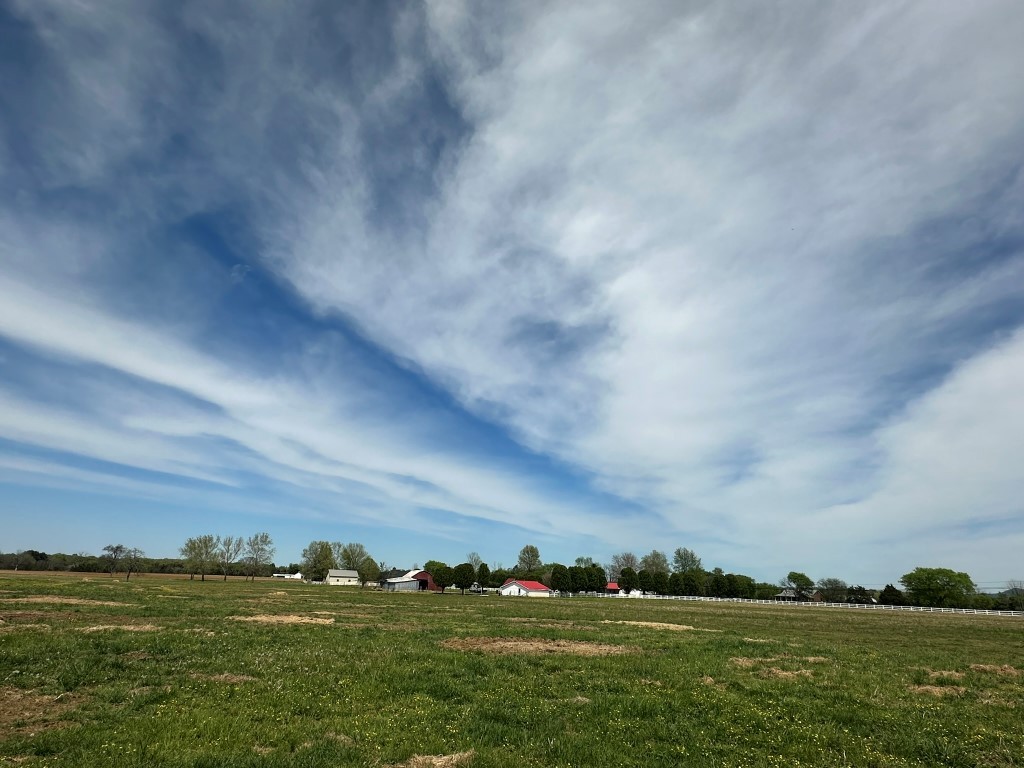 6254 Wayside Road Christiana, TN 37037 - Photo 30 of 43