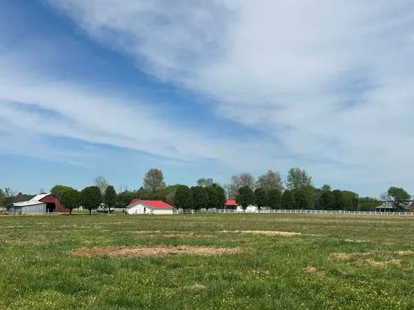 a view of a field with an ocean