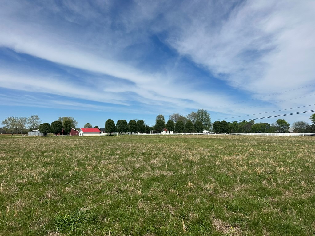 6254 Wayside Road Christiana, TN 37037 - Photo 32 of 43