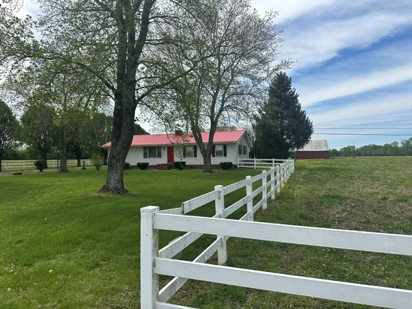 a view of backyard with wooden fence