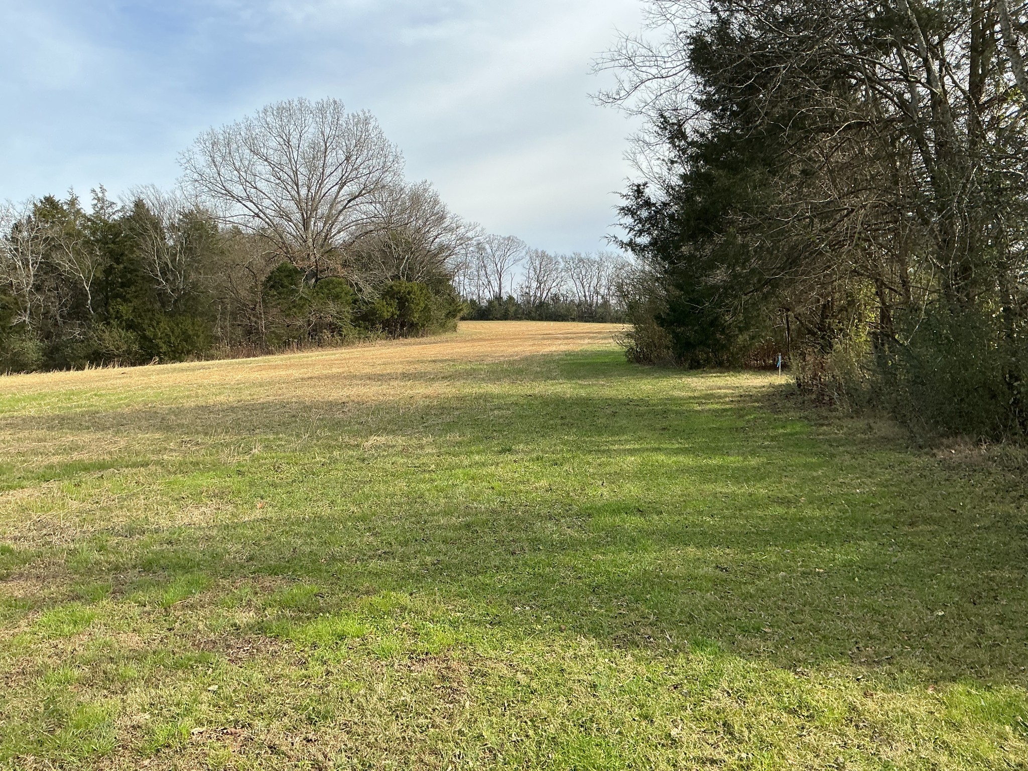 120 3 Fork Bridge Road Wartrace, TN 37183 - Photo 44 of 48 a view of an ocean from a yard