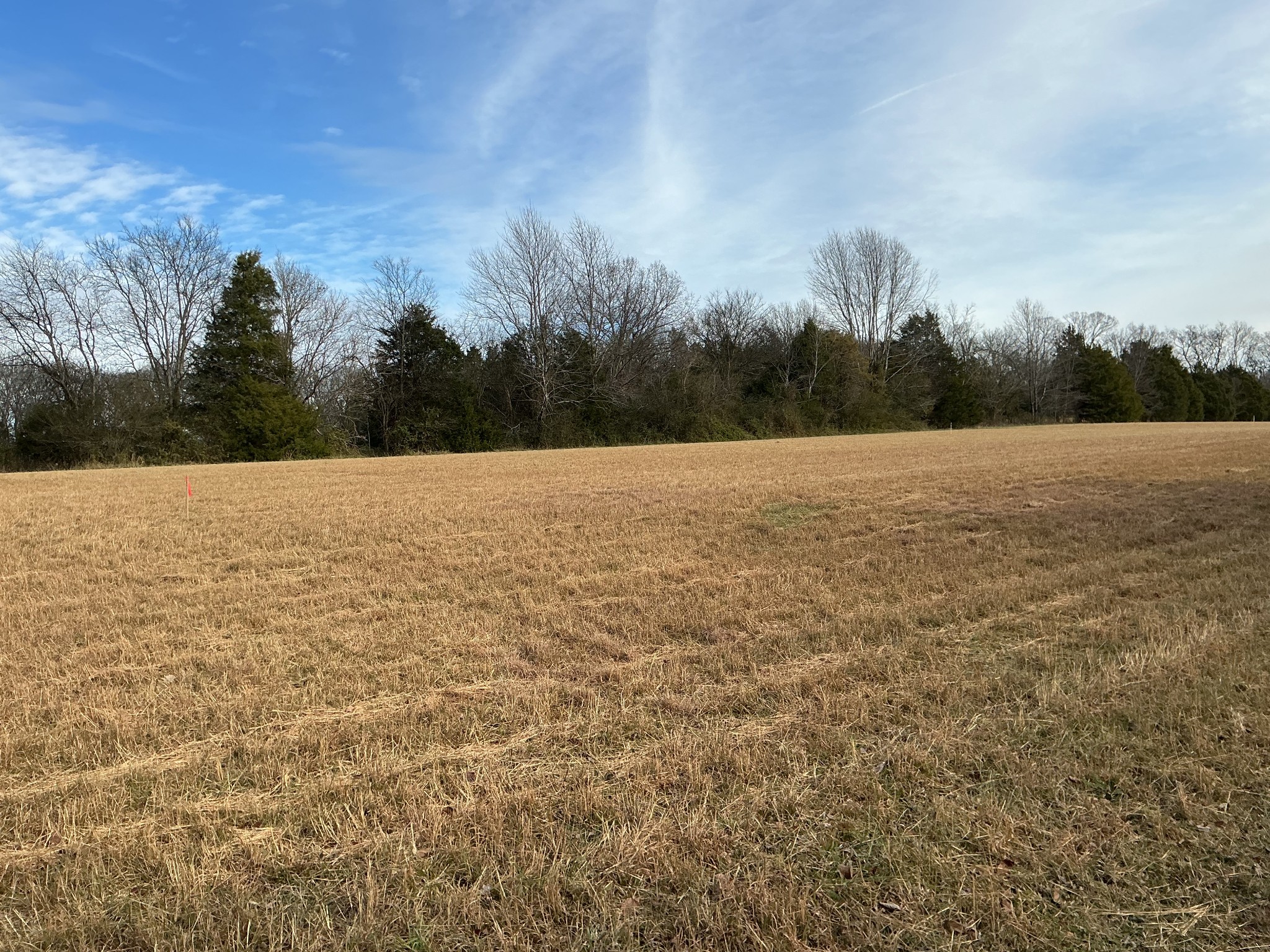 120 3 Fork Bridge Road Wartrace, TN 37183 - Photo 48 of 48 a view of an ocean