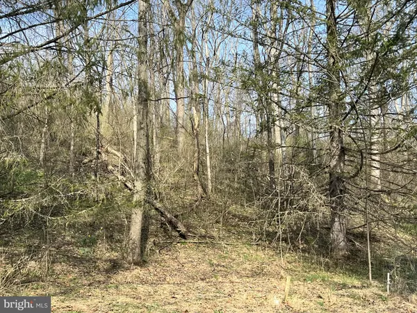 a view of a yard