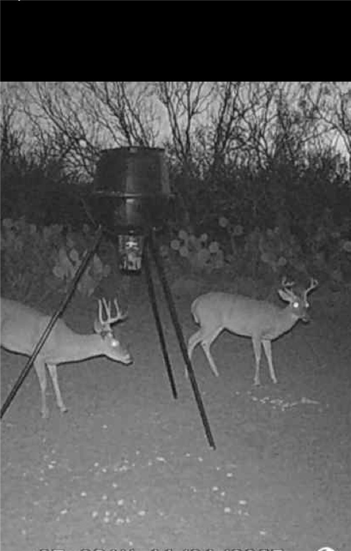 0 County Rd 207 Concepcion, TX 78349 - Photo 3 of 3 a view of a room with gym equipment