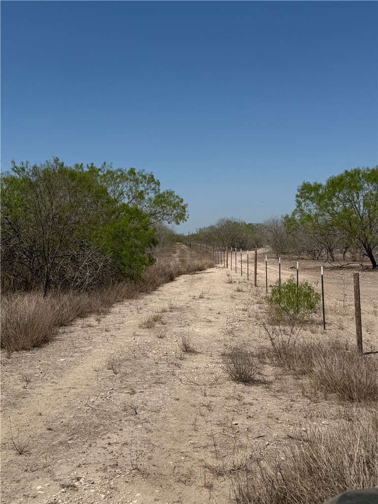 0 County Rd 207 Concepcion, TX 78349 - Photo 5 of 7 a view of a yard with a tree