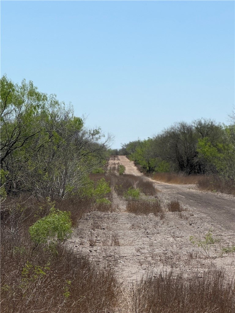 0 County Rd 207 Concepcion, TX 78349 - Photo 7 of 7 a view of a dirt road with trees in the background