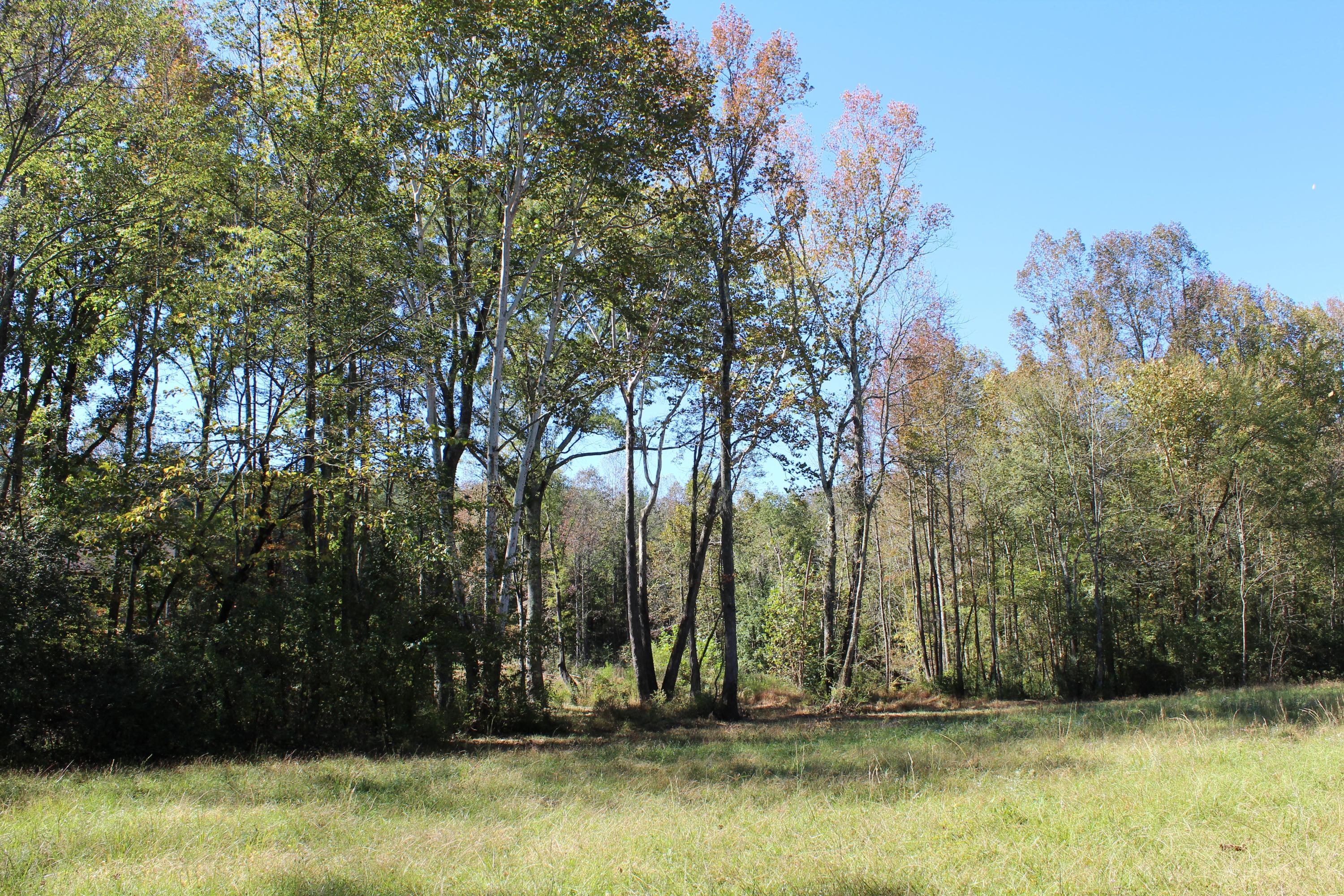 290 Cason Road Whitwell, TN 37397 - Photo 18 of 22 IMG_1863
