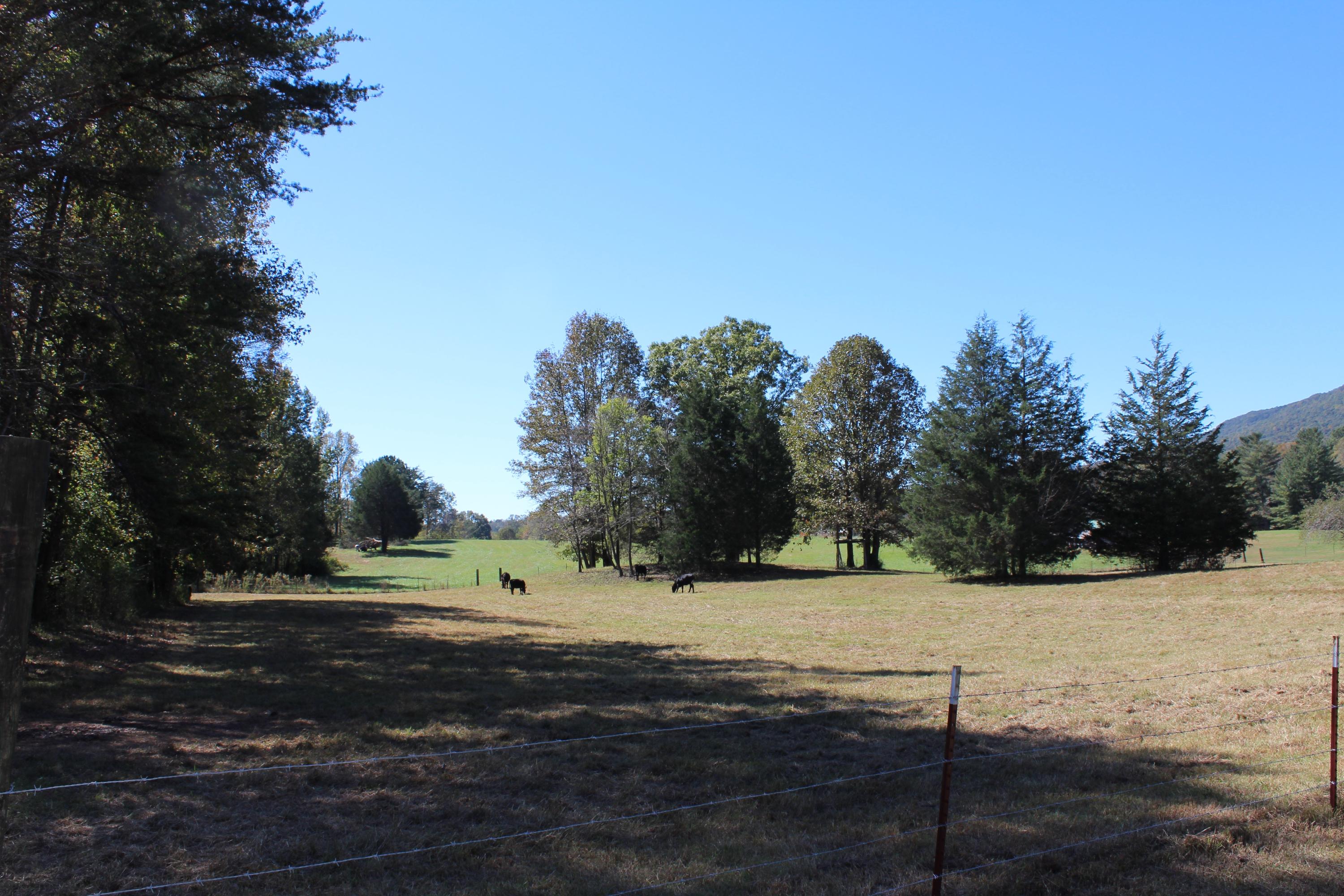 290 Cason Road Whitwell, TN 37397 - Photo 21 of 22 IMG_1871