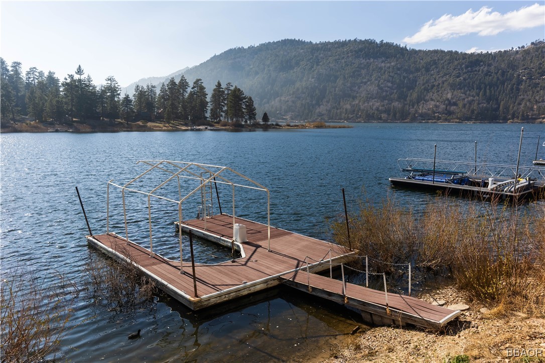 599 Cove Drive Big Bear Lake, CA 92315 - Photo 45 of 50