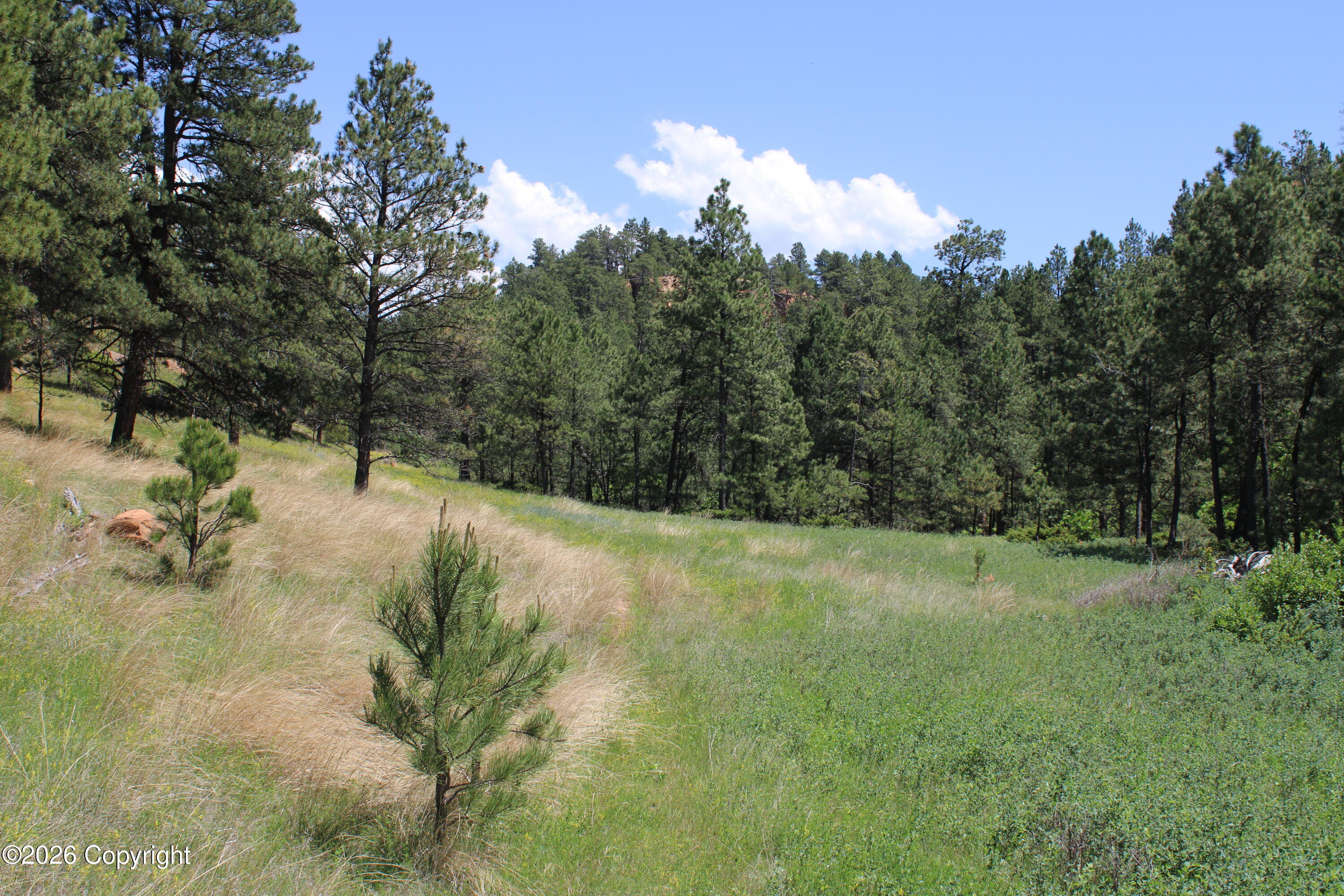 10 River Road Hulett, WY 82720 - Photo 28 of 31 Gallery Image 28