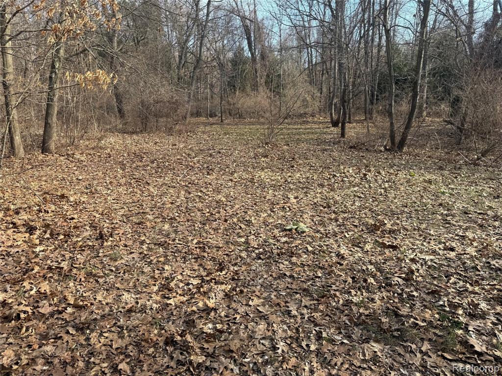 2096 Hunter Road Brighton, MI 48114 - Photo 1 of 9