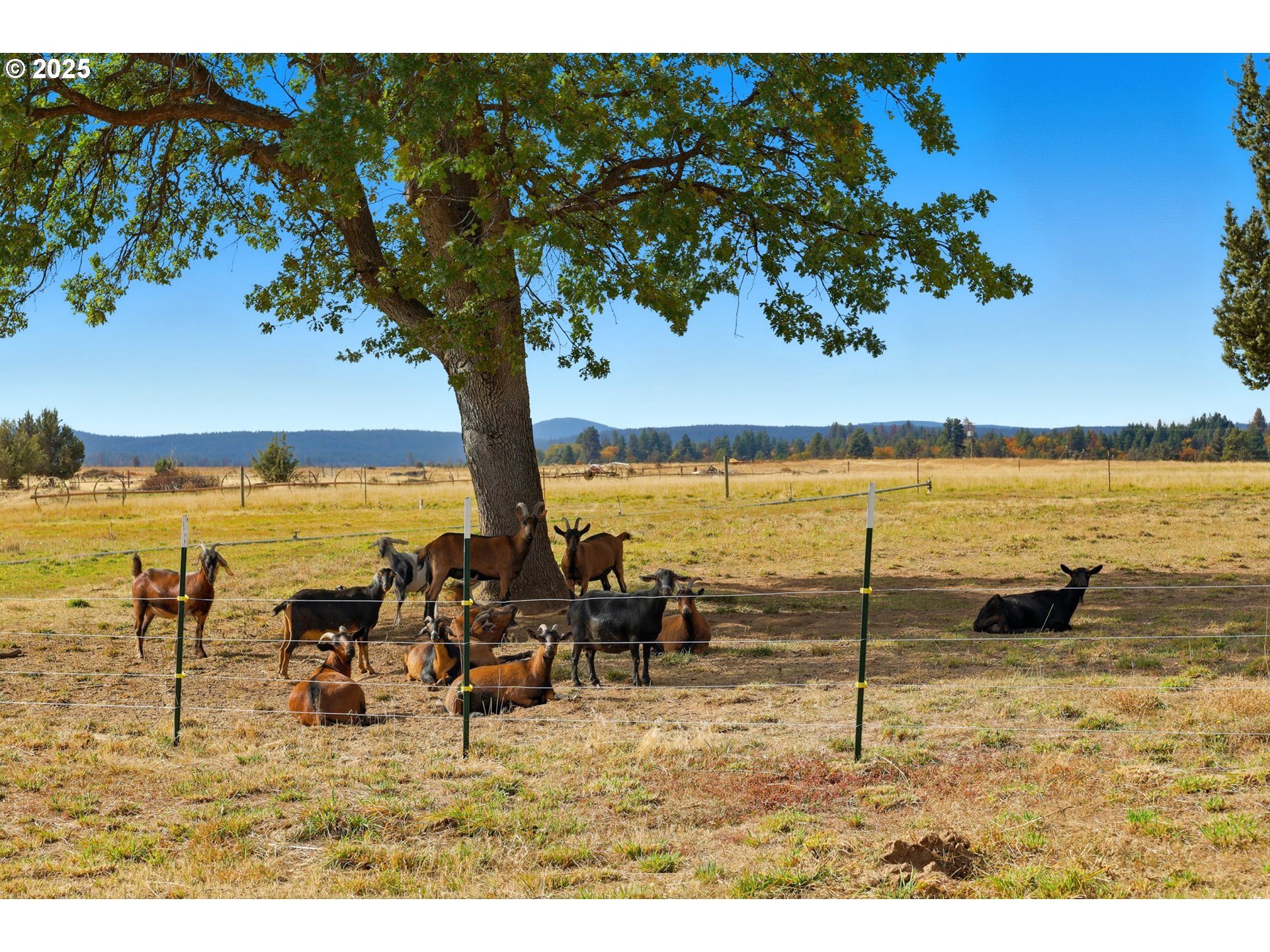 54472 Smock Road Tygh Valley, OR 97063 - Photo 36 of 48 a view of ocean view