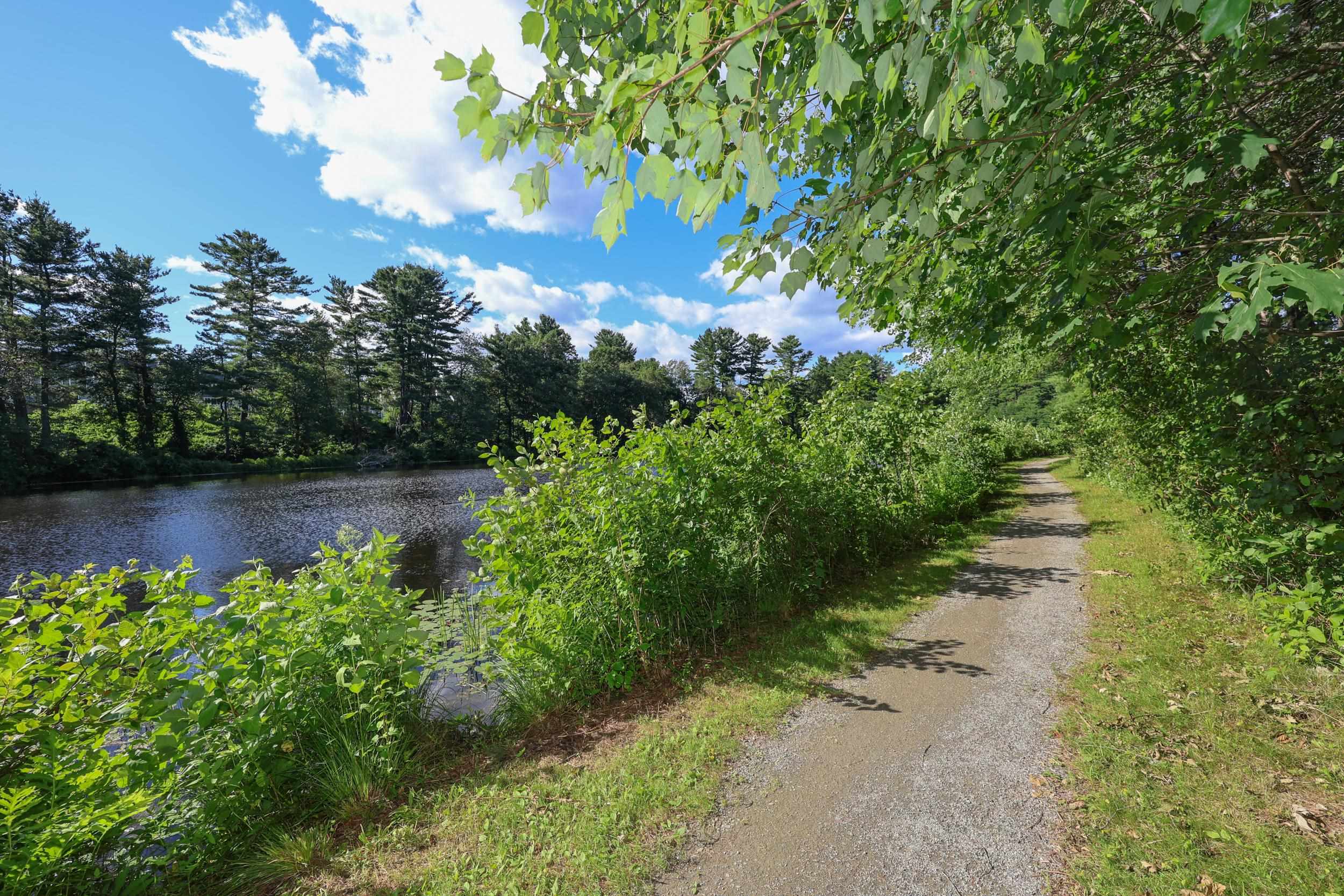 53 Winding Pond Road Londonderry, NH 03053 - Photo 5 of 58