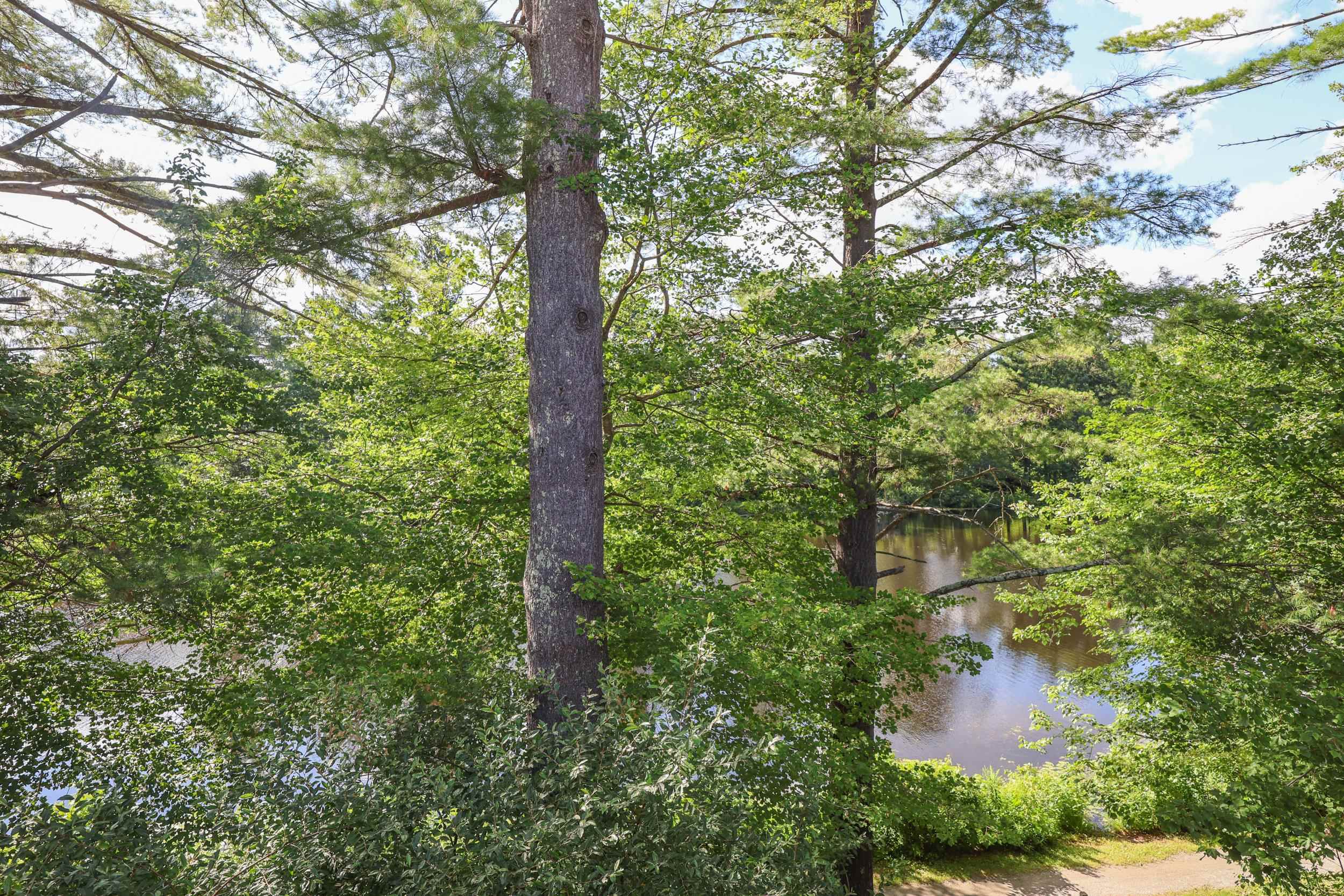 53 Winding Pond Road Londonderry, NH 03053 - Photo 10 of 58